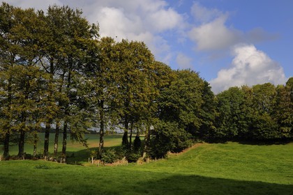 France, Seine-Maritime, Bretteville-du-Grand-Caux, Clos masure, a typical farm of Normandy, called La Vitrine du Lin