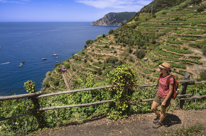 Italy, Liguria, Cinque Terre National Park listed as World Heritage by UNESCO, hiker going down to the village of Vernazza, below hikers on the GR 592 coastal path passing through the terraced vineyard between Monterosso and Vernazza