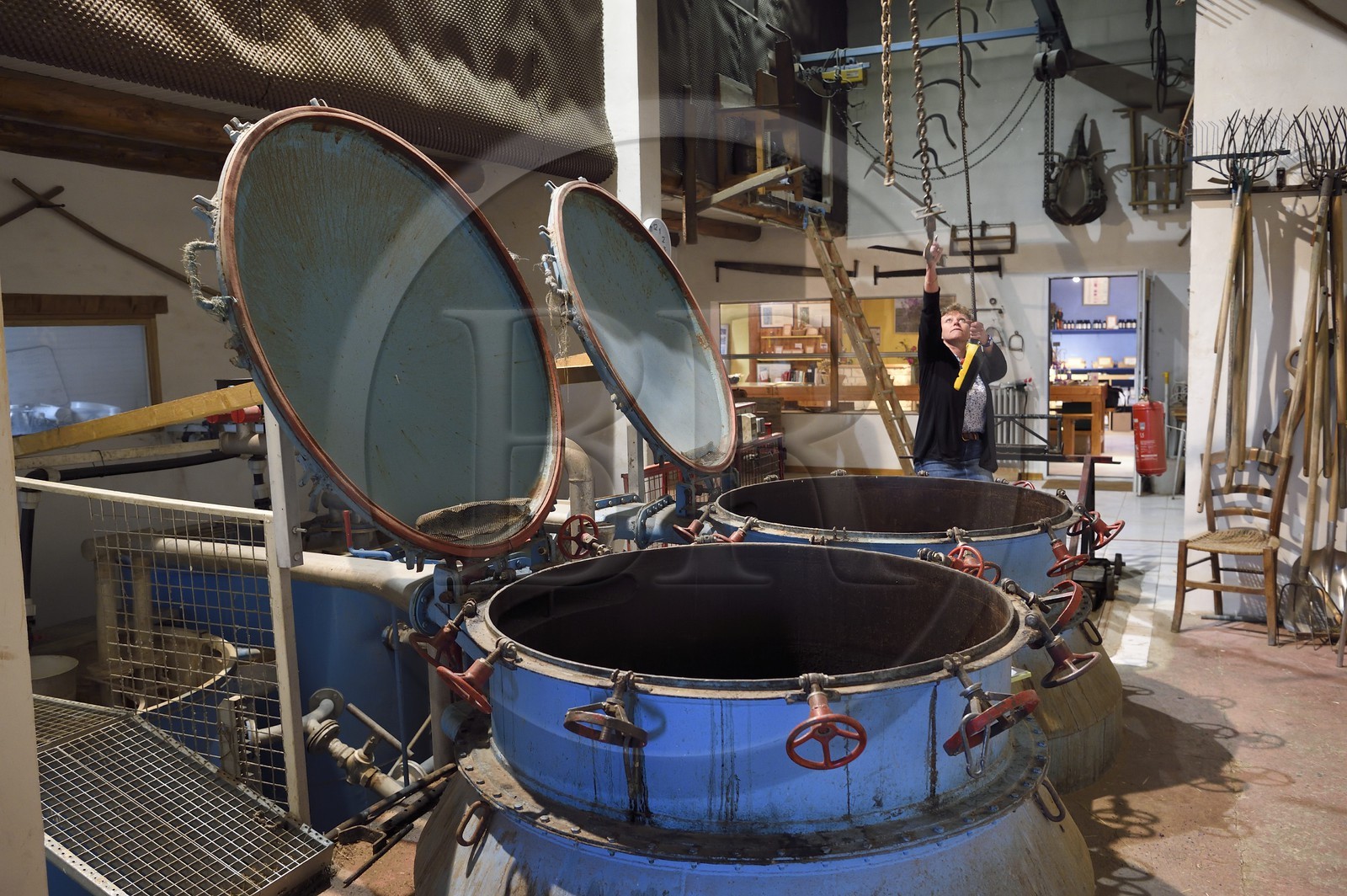 France, Alpes-de-Haute-Provence (04), La Mure-Argens, Véronique Blanc cultive et transforme la lavande en huile essentielle