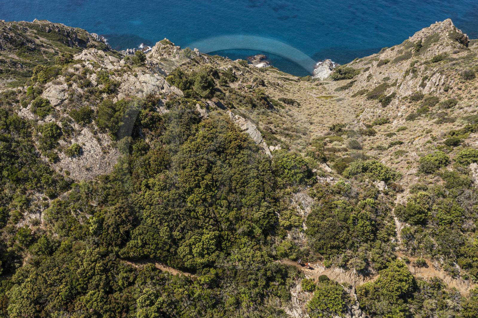 France, Var (83), Six-Fours-les-Plages, randonnée dans le massif du Cap Sicié, randonneurs sur le sentier des cretes de Roumagnan (vue aérienne)