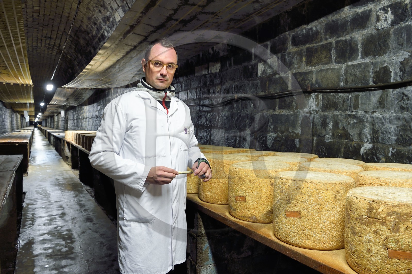 France, Cantal (15), La Chapelle-Laurent, cave d'affinage pour les fromages Marcel Charrade dans l'ancien tunnel ferroviaire de la ligne Saint-Flour - Brioude long d’un kilomètre, le directeur et maitre-affineur Géraud Brunhes