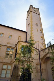 France, Moselle (57), Metz, la haute tour-donjon de l'Hotel Saint Livier rue des Trinitaires dans les Hauts de Sainte-Croix, siège du Fonds régional d’art contemporain de Lorraine