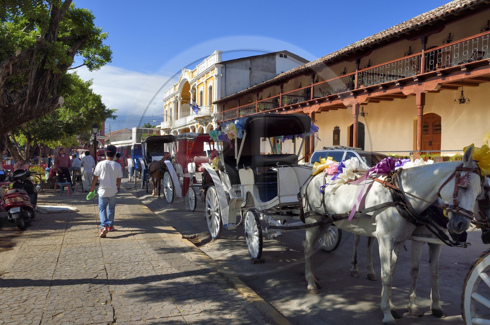 Nicaragua, Granada, maisons coloniales sur le Parque Central (Parque Colon), voiture à cheval et taxi