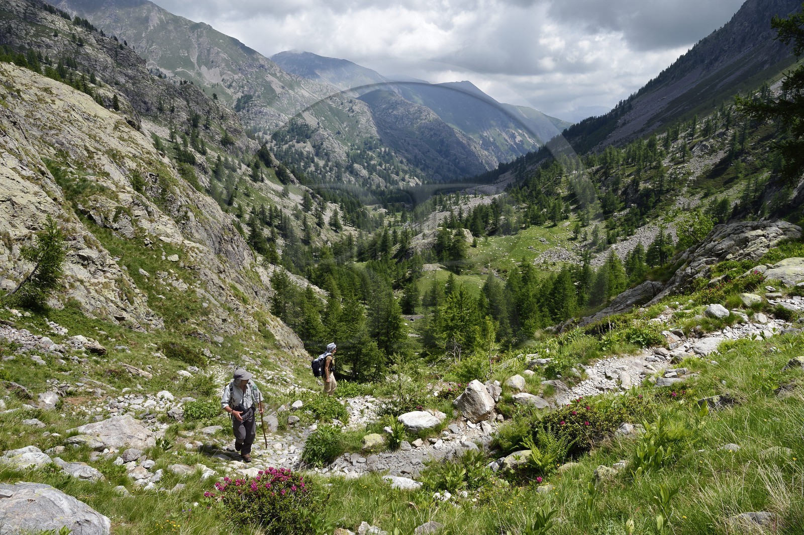France, Alpes-Maritimes (06), parc national du Mercantour, vallée de la Valmasque, sentier aménagé par les italiens sous Mussolini et la vallée