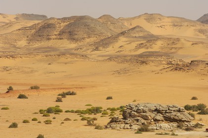 Egypt, Upper Egypt, Nubia, desert by the Lake Nasser