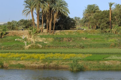 Egypt, Upper Egypt, Nile Valley, the Nile river between Luxor and Esna