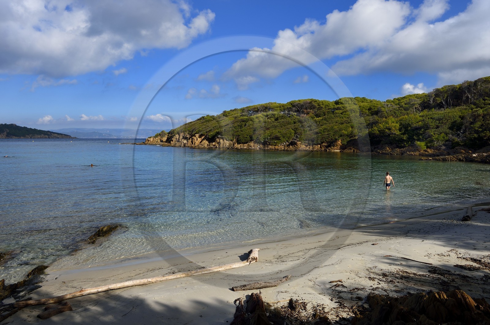 France, Var (83), Iles d'Hyères, parc national de Port Cros, Ile de Port-Cros, plage du Sud France, Var (83), Iles d'Hyères, parc national de Port Cros, Ile de Port-Cros, plage du Sud
