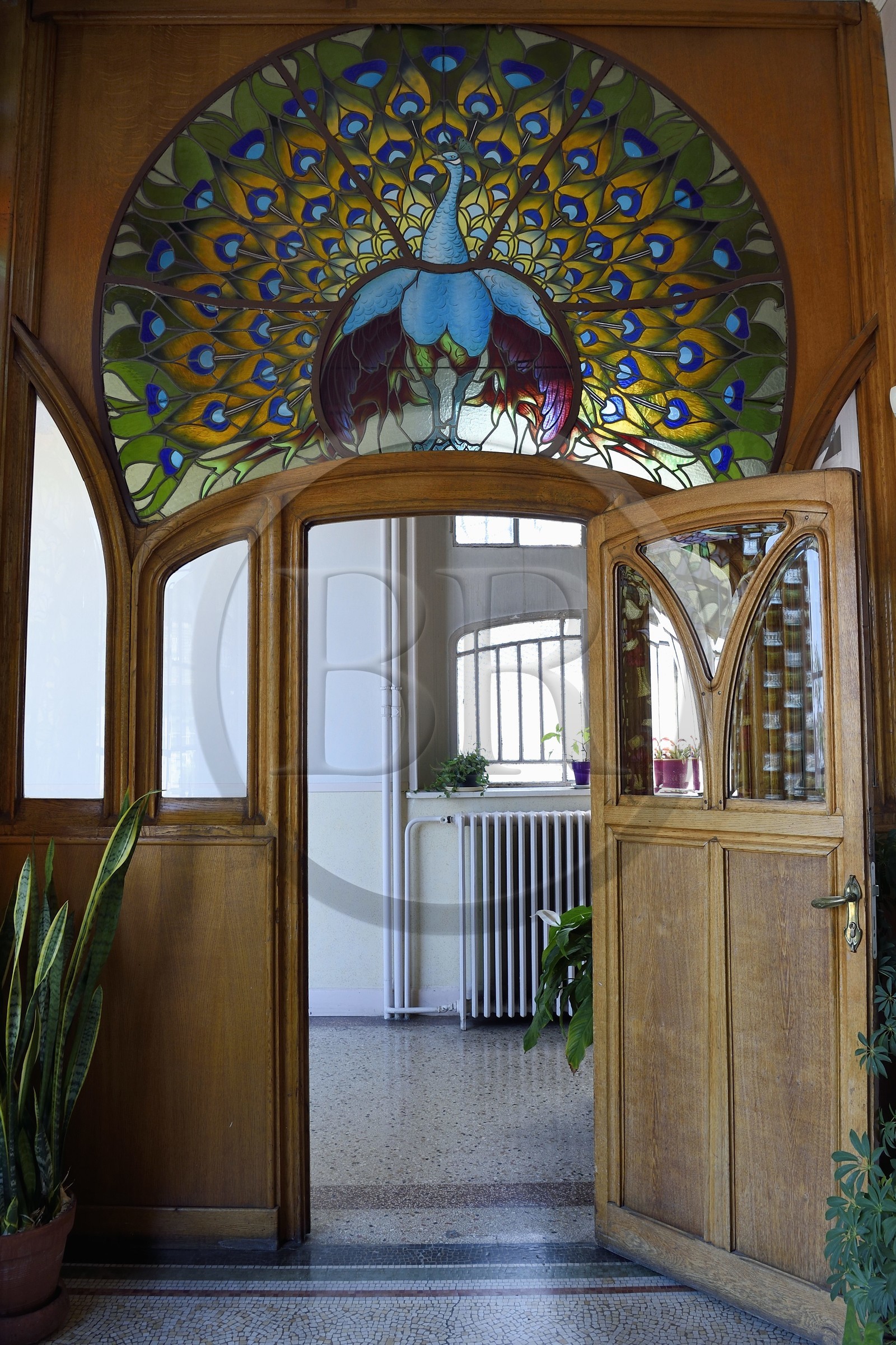 France, Meurthe-et-Moselle (54), Nancy, la maison Bergeret de style Art Nouveau, porte du jardin d’hiver d’hiver et vitraux de Joseph Janin