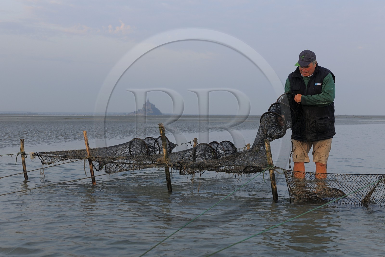 France, Manche (50), Baie du Mont-Saint-Michel, le pêcheur de grève Guy Jugan relevant ses filets de crevettes grises à l'aube France, Manche (50), Baie du Mont-Saint-Michel, le pêcheur de grève Guy Jugan relevant ses filets de crevettes grises à l'aube