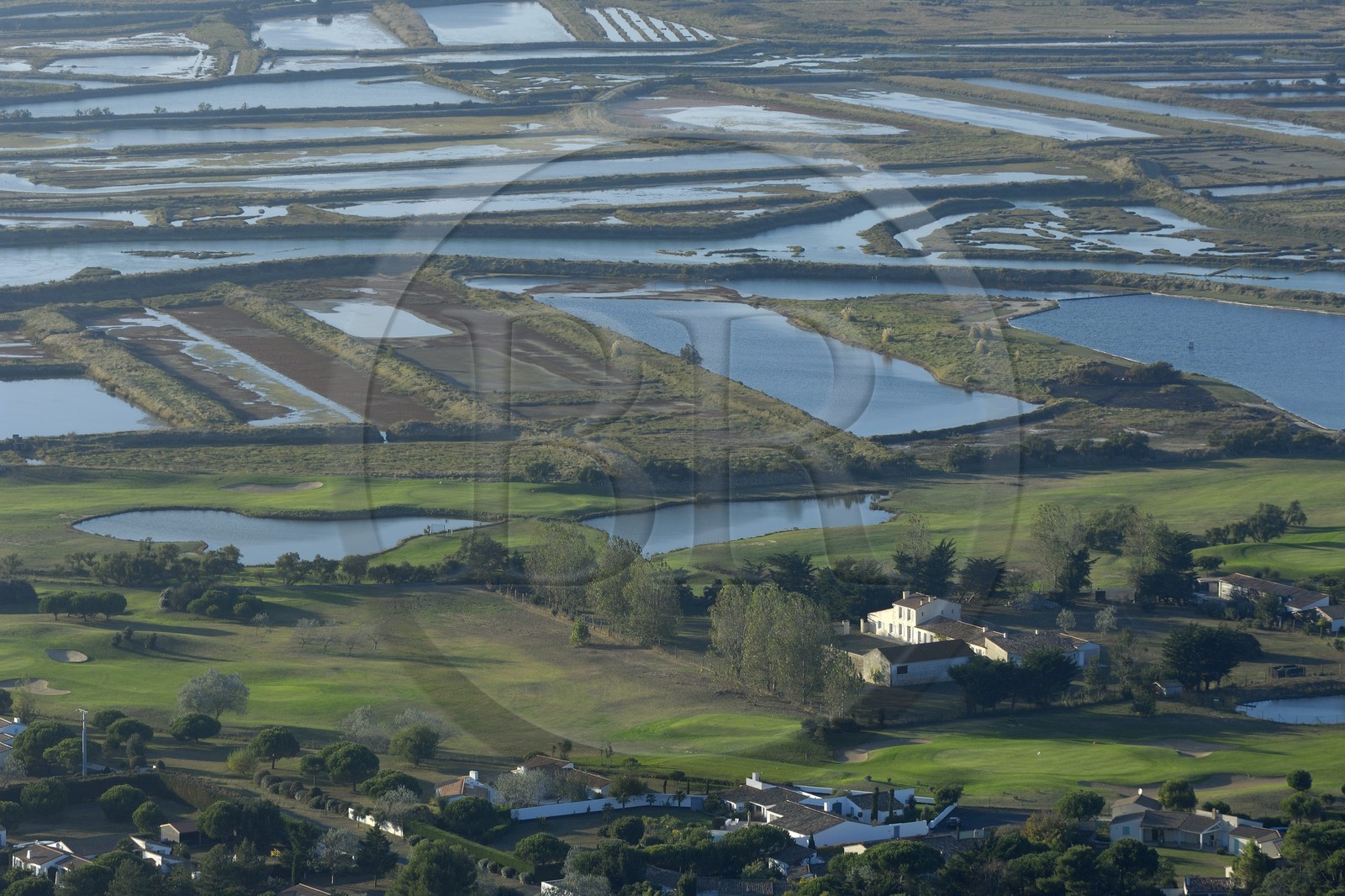 France, Charente-Maritime (17), ile de Ré, les Portes-en-Ré vers la Pointe du Fier d'Ars, golf (vue aérienne)