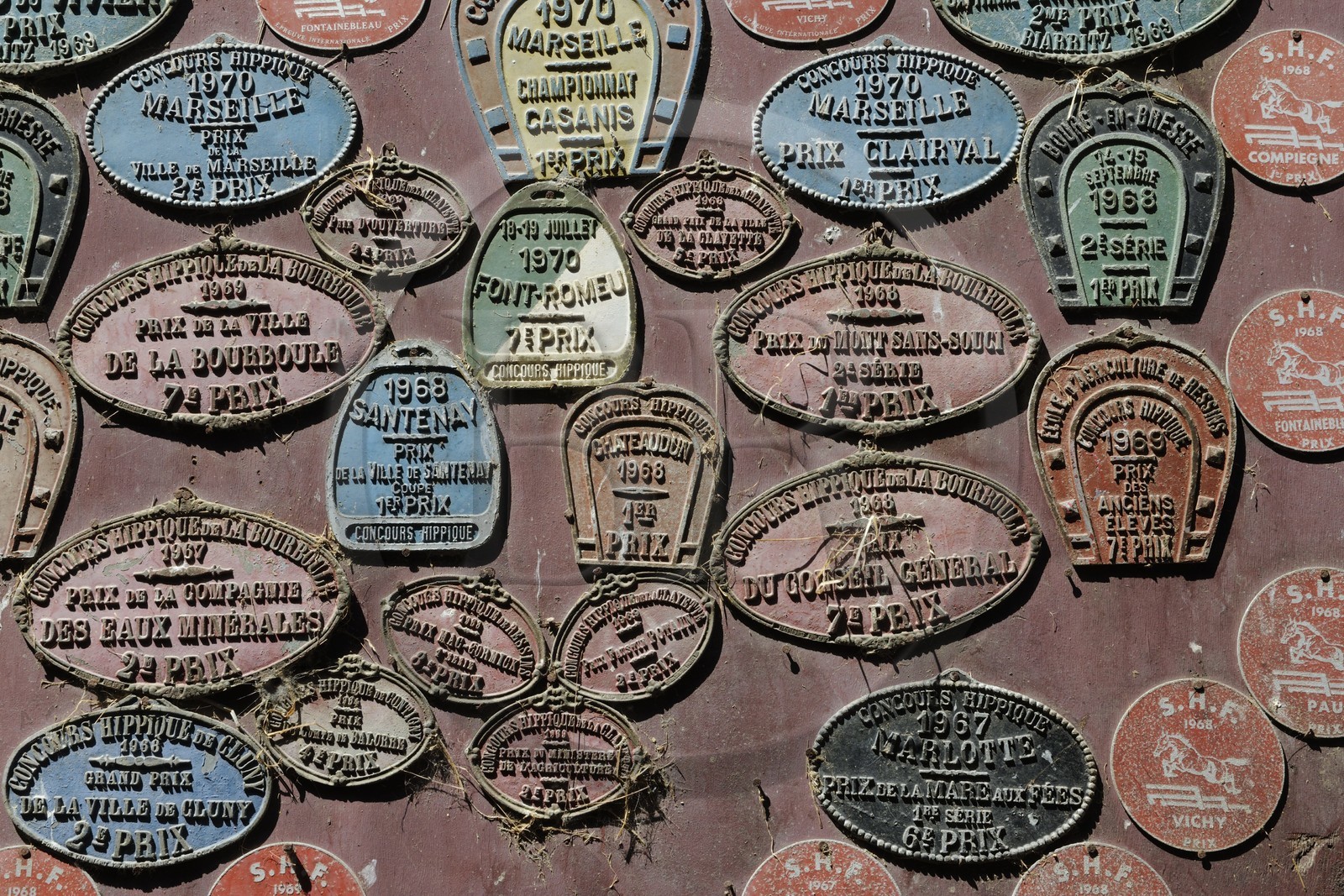 France, Saône et Loire (71), Cluny, trophés de l'élevage de Merzé, martinot.fr