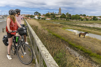 France, Vendee, Noirmoutier island, Noirmoutier-en-l'Ile, the marshes of Müllembourg, the castle and the church of Saint-Philbert