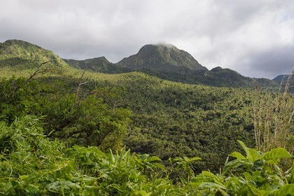 Caraïbes, Ile de la Dominique, Parc national du Morne Trois Pitons classé Patrimoine Mondial de l'UNESCO, Fresh Water Lake