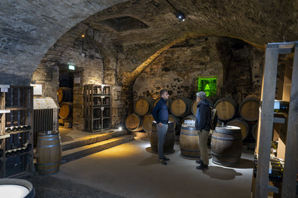 France, Cote d'Or, Climats terroirs of Burgundy listed as World Heritage by UNESCO, Beaune, the cellars of Maison Patriarche, a wine merchant-breeder company, interspersed with contemporary works of art from the In Situ gallery