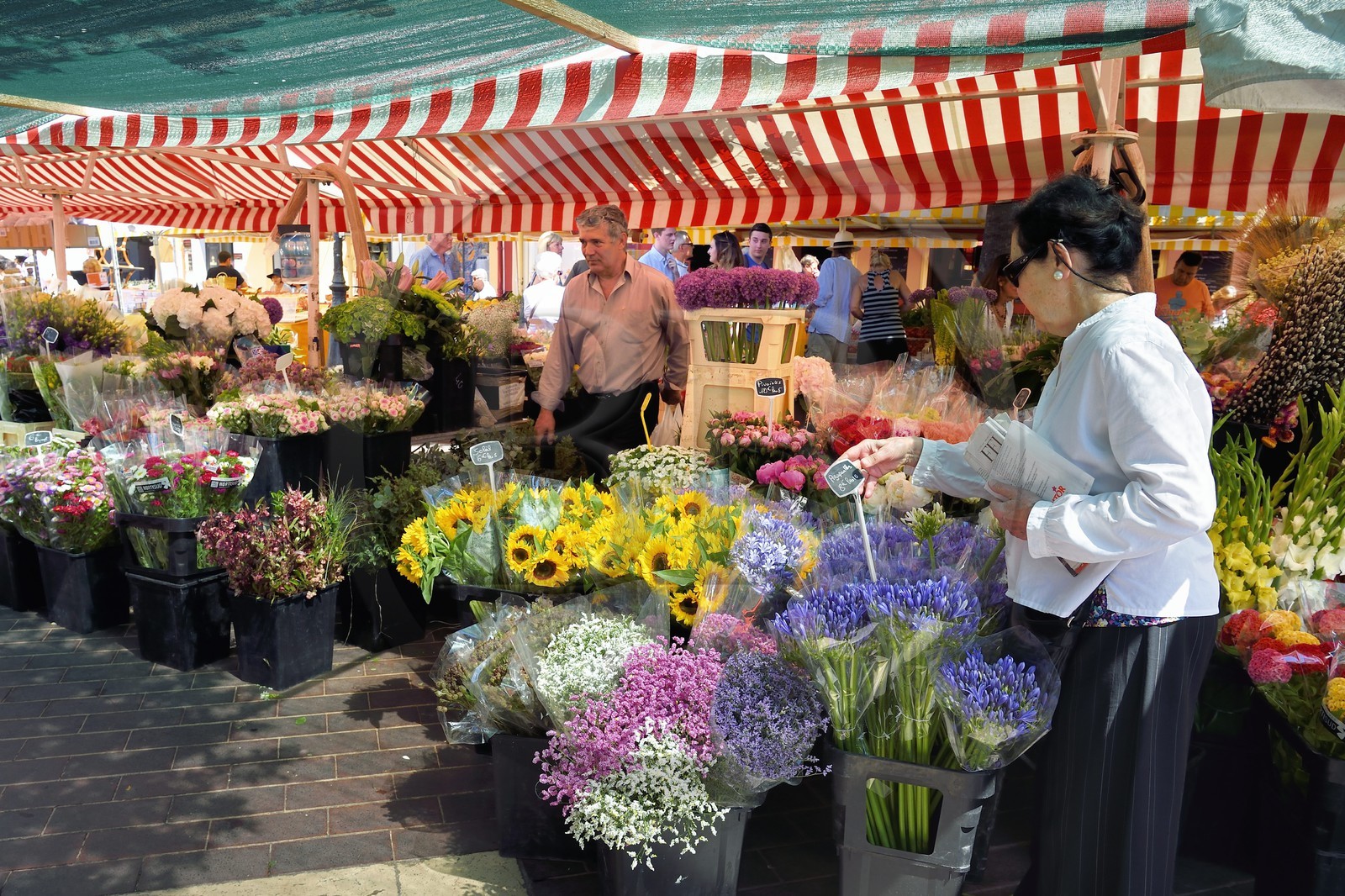 France, Alpes-Maritimes (06), Nice, vieille ville, marché du cours Saleya, marché aux fleurs