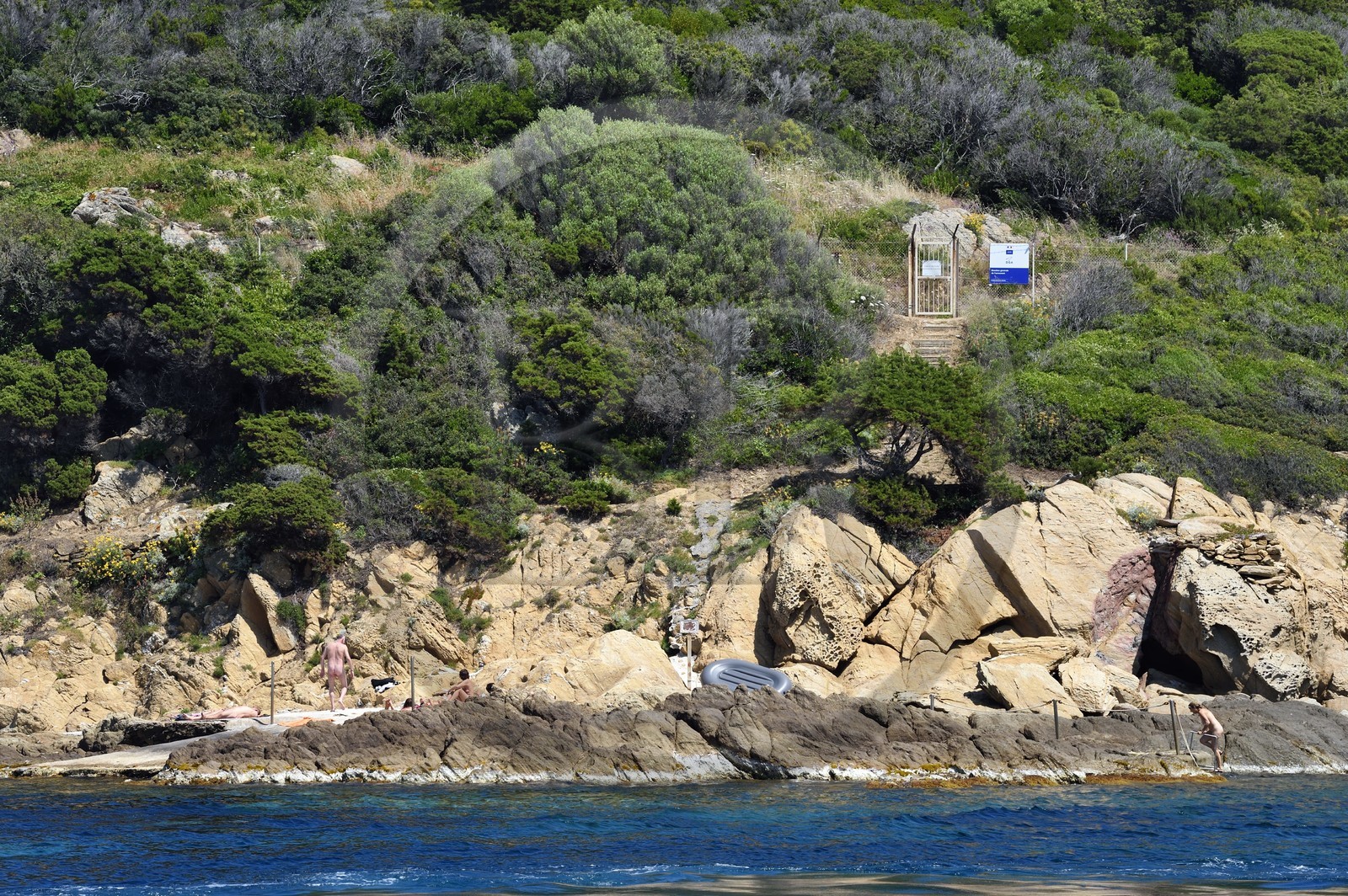 France, Var (83), Iles d'Hyères, Parc national de Port Cros, Ile du Levant, domaine naturiste d'Héliopolis, zone exclusivement naturiste sur les rochers en bord de mer en dessous de la zone militaire