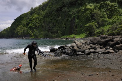 France, île de la Réunion, anse des Cascades, au sud de Piton-Sainte-Rose, classé Patrimoine Mondial de l'UNESCO, retour de pêche au harpon