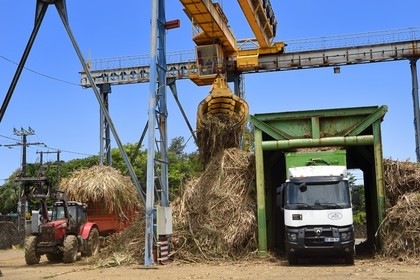France, Ile de la Reunion, Saint-Joseph, un des 11 centres de réception et de collecte de la canne à sucre aussi appelés Balance, les tracteurs amènent depuis les champs la canne dans des remorques, elle est ensuite pesée et chargée dans de grand camions appelés cachalots pour être acheminée vers l'usine sucrière du Gol