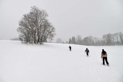 France, Haute-Savoie (74), Arâches-la-Frasse, station de ski Les Carroz d'Arâches, randonnée en raquettes