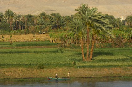 Egypt, Upper Egypt, Nile Valley, fishing barque on the Nile river between Luxor and Esna