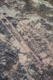 France, French Guiana, Kourou, Salvation Islands (Iles du Salut), Royal Island, Native American polishing stones from the pre-Columbian period