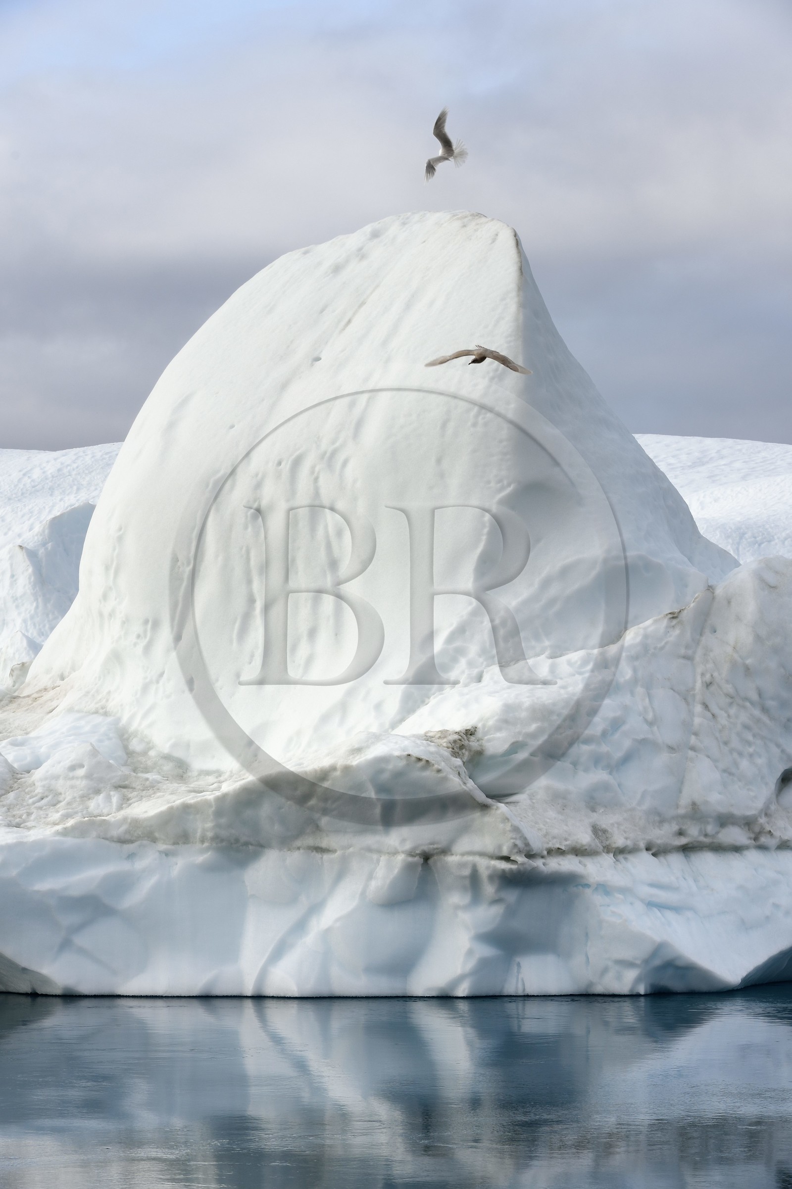 Groenland, cote ouest, baie de Disko, Ilulissat, fjord glacé classé Patrimoine Mondial de l'UNESCO qui est l’embouchure maritime du glacier Sermeq Kujalleq