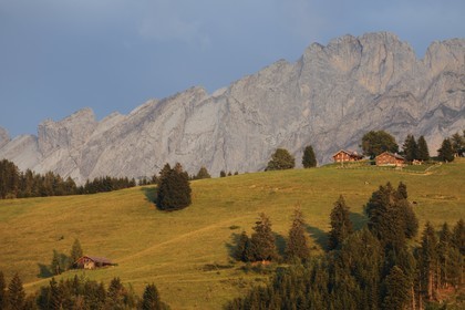 Suisse, canton de Vaud, Villars-sur-Ollon au Col de la Croix