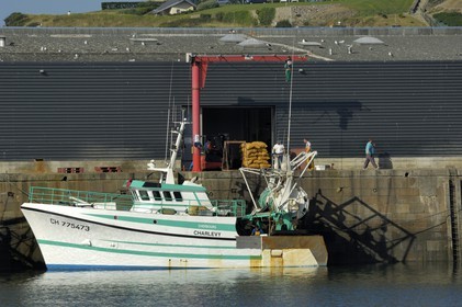 France, Manche, Cotentin, Granville, fishing port, wet dock