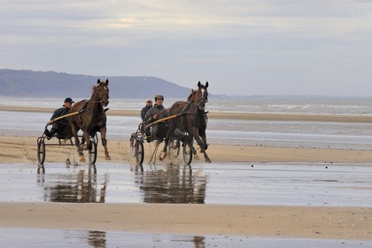France, Calvados, Pays d'Auge, Deauville, trotting carriages on the beach at low tide