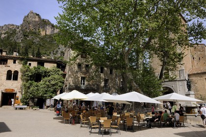 France, Herault, Saint Guilhem le Desert Medieval Village, Labelled Les Plus Beaux Villages de France (the Most Beautiful Villages of France), the Village Square (place de la Liberté) and its hundred years old plane tree