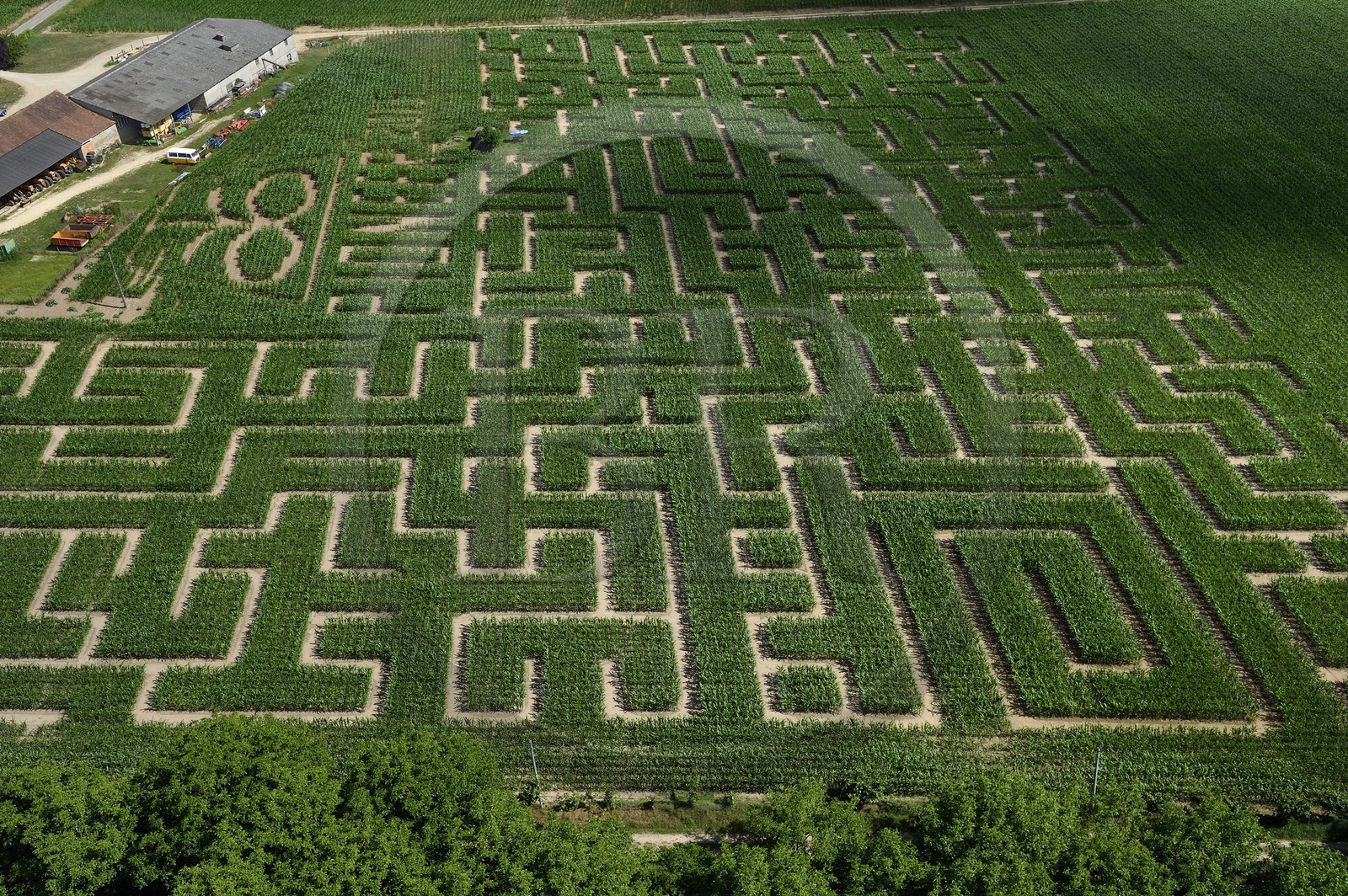 France, Dordogne (24), Périgord Noir, vallée de la Dordogne, Vitrac, cingle de Montfort, labyrinthe végétal en mais de l'Ermite (vue aérienne)