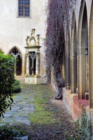 France, Haut-Rhin (68), Colmar, le musée Unterlinden, le cloitre