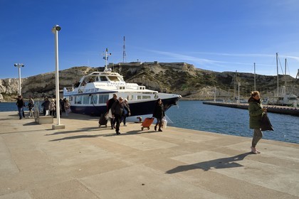 France, Bouches du Rhone, Marseille, Calanques National Park, archipelago of Frioul islands, Ratonneau island, the port of Frioul, the ferry to the Vieux Port