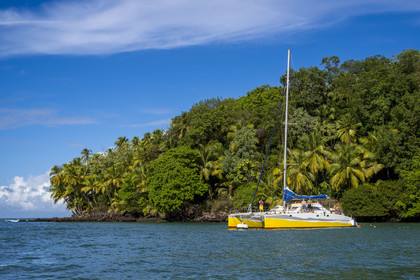 France, French Guiana, Kourou, Salvation Islands (Iles du Salut), Saint Joseph Island, tourists spending the day on a catamaran