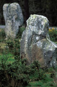 France, Morbihan, Megaliths of Carnac