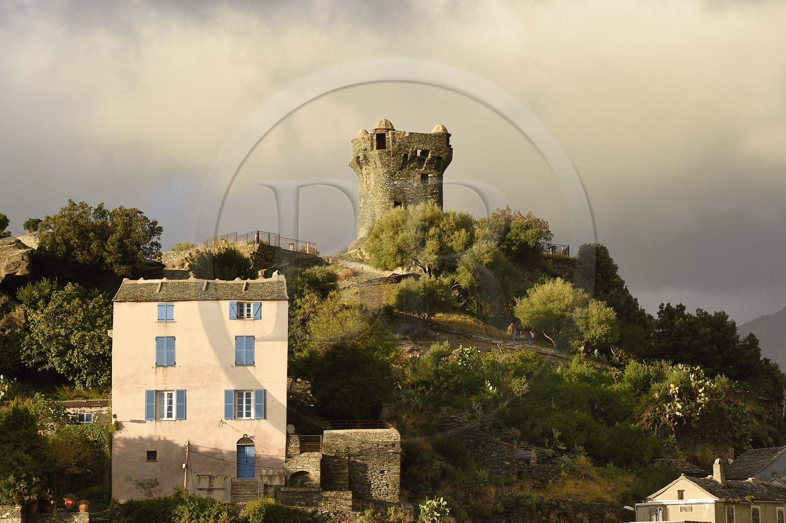 France, Haute-Corse (2B), Cap Corse, le village perché de Nonza et la Tour paoline (Torra paolina)