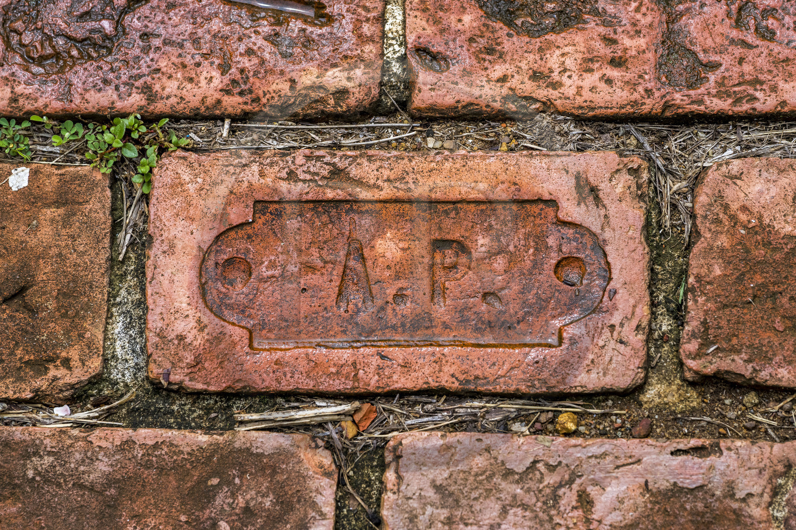 France, Guyane, Kourou, Iles du Salut, Ile Royale, brique frappée des lettres AP pour administration pénitentiaire fabriquée par les détenus du bagne