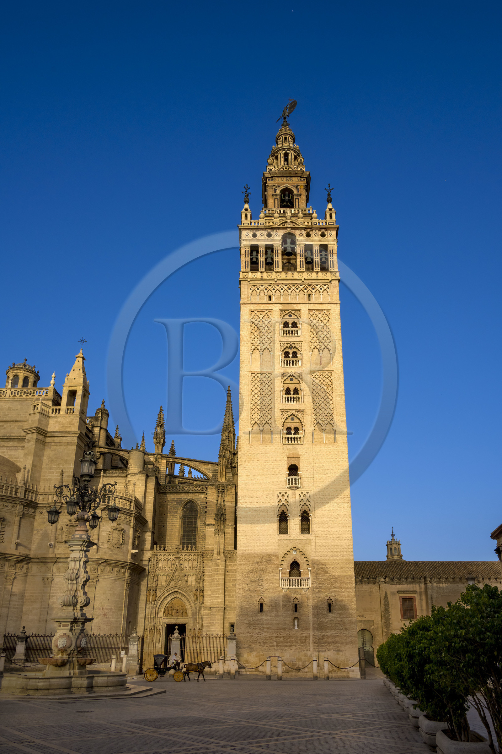 Espagne, Andalousie, Séville, quartier de Santa Cruz, la Giralda, ancien minaret almohade de la Grande Mosquée reconverti en clocher de la cathédrale, classé Patrimoine Mondial de l'UNESCO