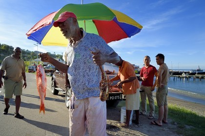 Caraïbes, Ile de la Dominique, la capitale Roseau, vendeur de poissons en bordure de route