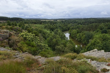France, Ille-et-Vilaine, Saint-Just, the Lande de Cojoux, Val pond supplied by the river Canut