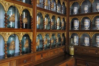 France, Saône et Loire (71), Tournus, l'Hôtel-Dieu, l'apothicairerie