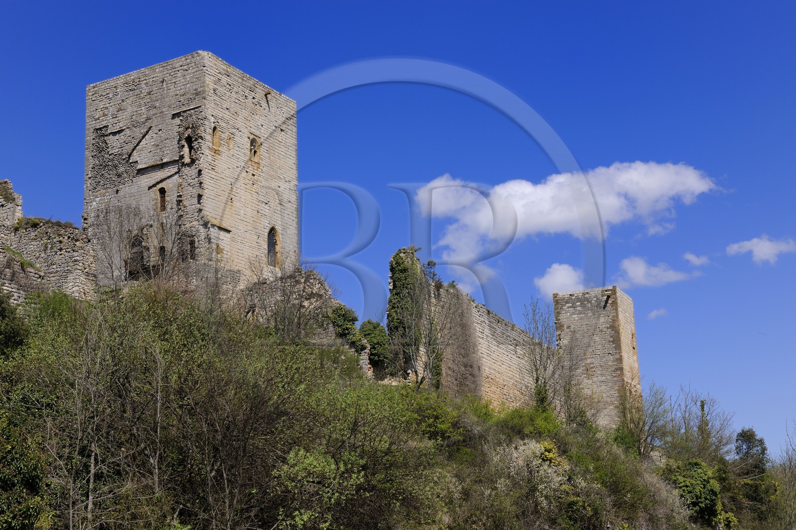 France, Aude (11), le château cathare de Puivert du XIIe siècle