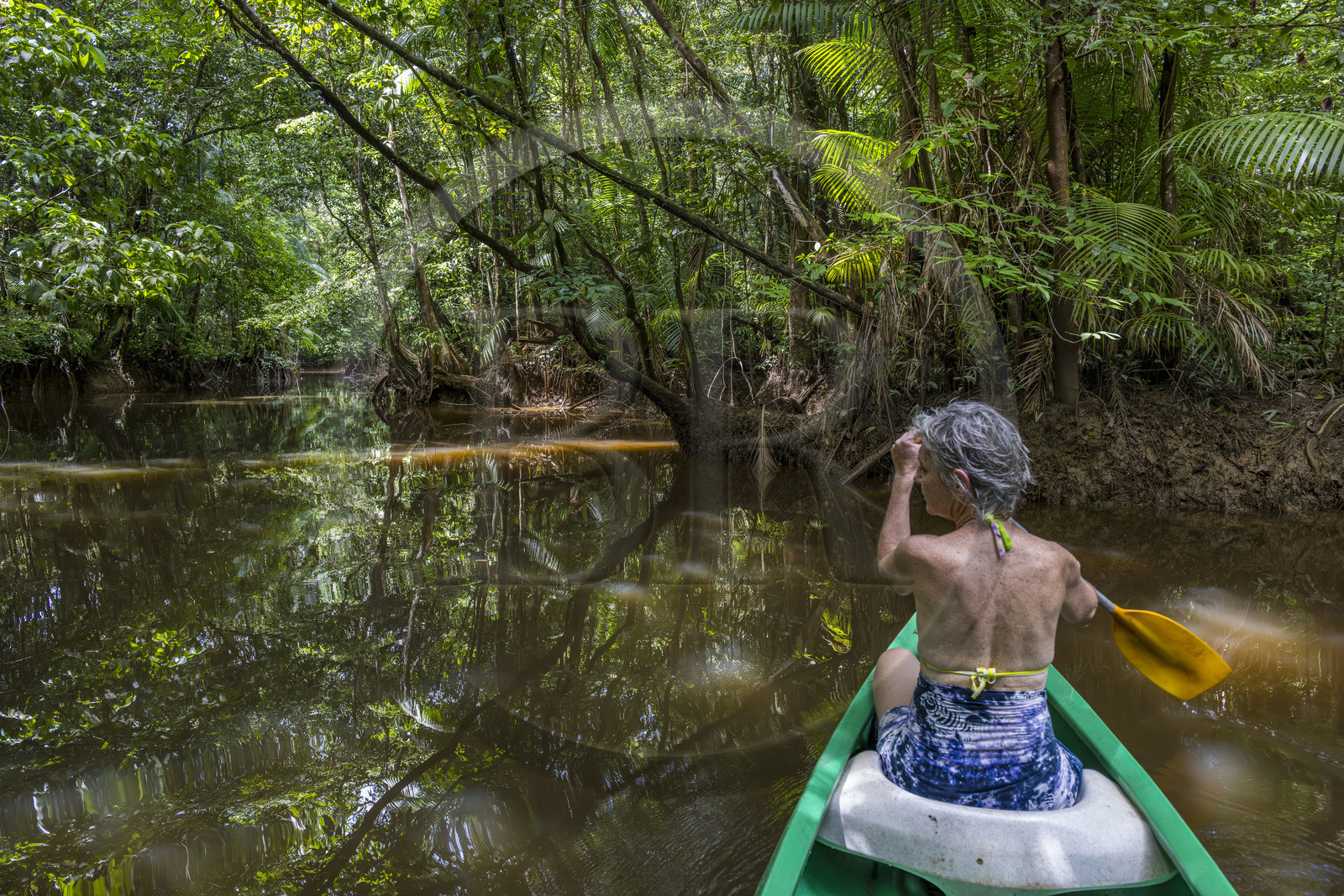 France, Guyane, Kourou, camp Maripas dans la forêt tropicale, découverte en canoé d'une crique, petite rivière, affluent du fleuve Kourou