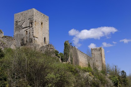 France, Aude (11), le château cathare de Puivert du XIIe siècle