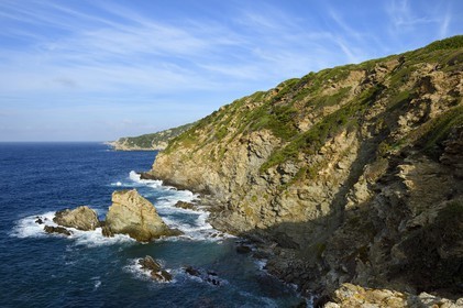 France, Var (83), Iles d'Hyères, parc national de Port Cros, Ile de Porquerolles, la côte Sud-Ouest vers la Gorge du Loup