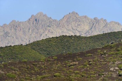 France, Haute Corse, Niolu (Niolo) region, the Monte Cinto