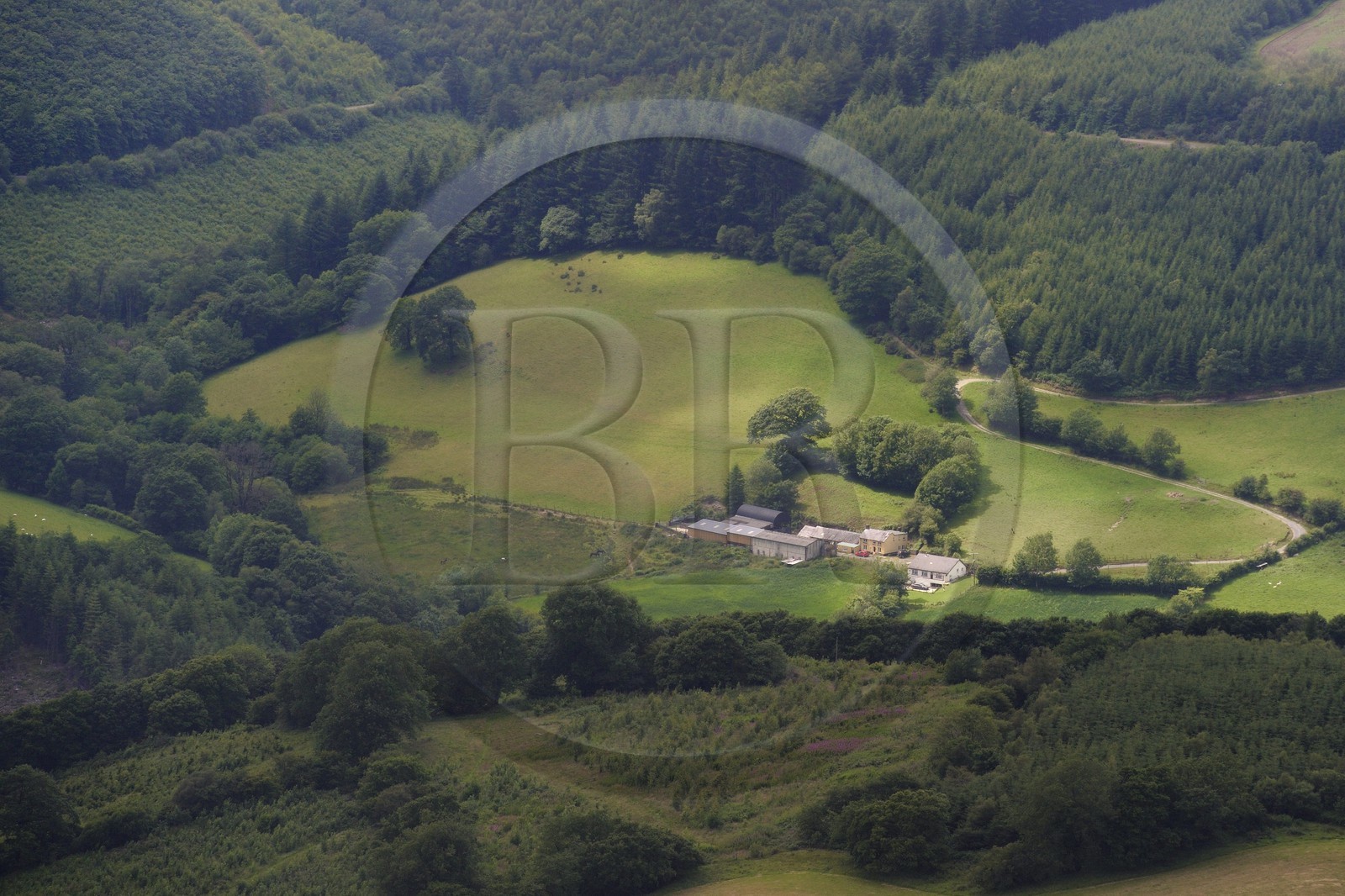 United Kingdom, England, Wales, forest and fields in the Brechfa region in Carmarthenshire (aerial view)
