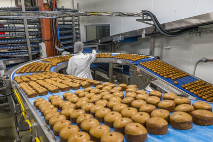 France, Cote d'Or, Dijon, the gingerbread factory of the Mulot et Petitjean house, oven removal, glazing and air drying for the nonnettes, the flagship product