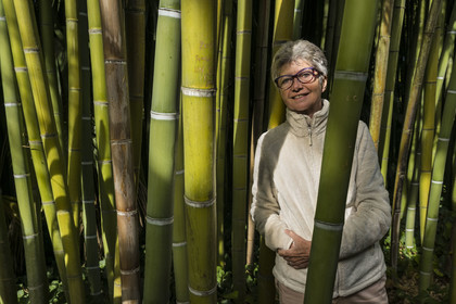 France, Gard, Generargues towards Anduze, Bambouseraie en Cévennes (Bamboo garden), President and Director Muriel Nègre