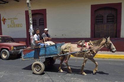 Nicaragua, Leon, charrette tirée par un cheval dans la rue Ruben Dario dans le centre historique, charette à cheval
